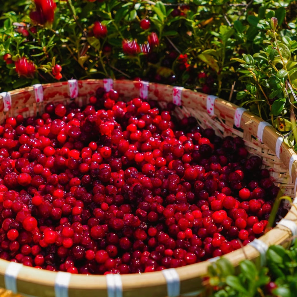 Cranberry Black Tea