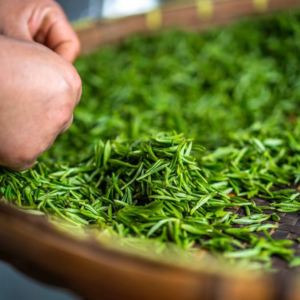 Dongting Biluochun Green Tea