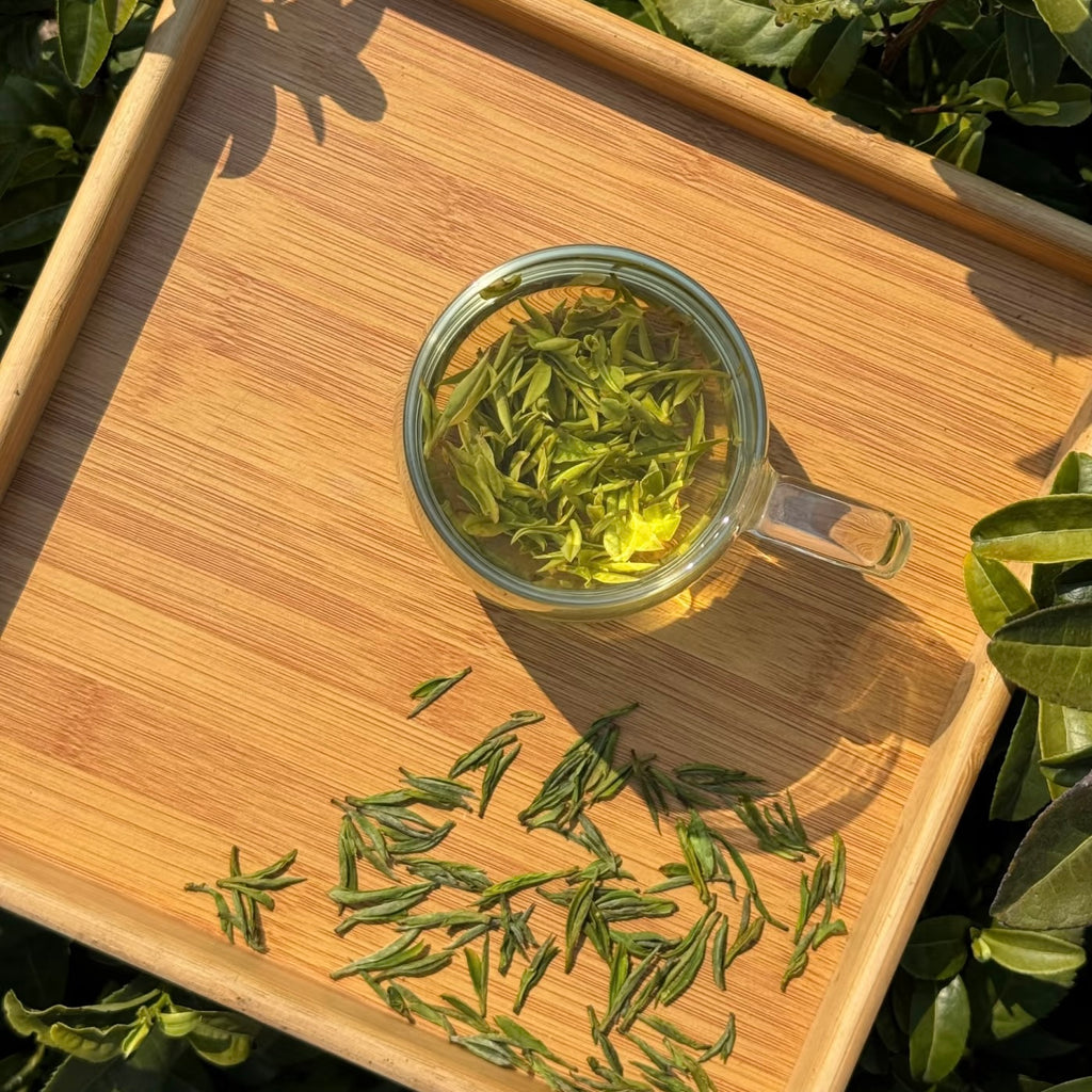 Huangshan Maofeng Green Tea
