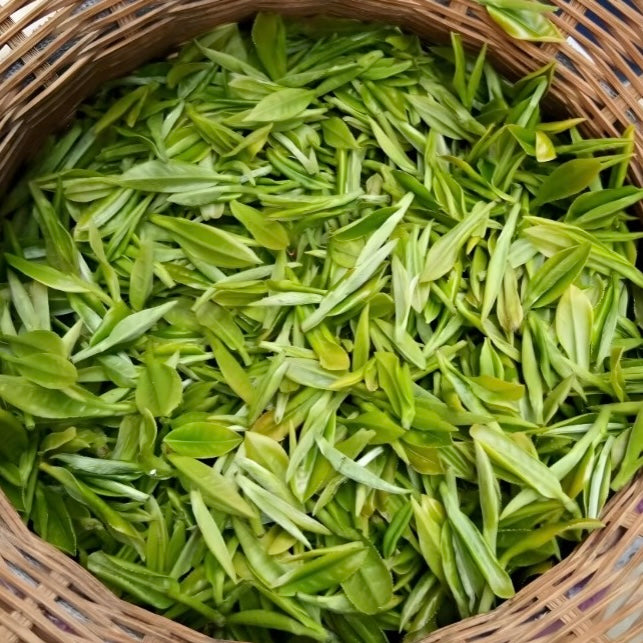 Huangshan Maofeng Green Tea