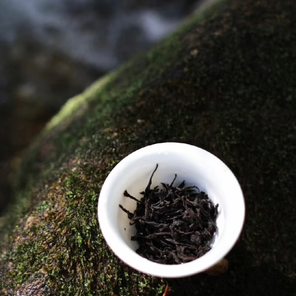 Lapsang Souchong Black Tea