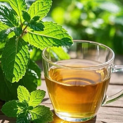 Mint Green Tea