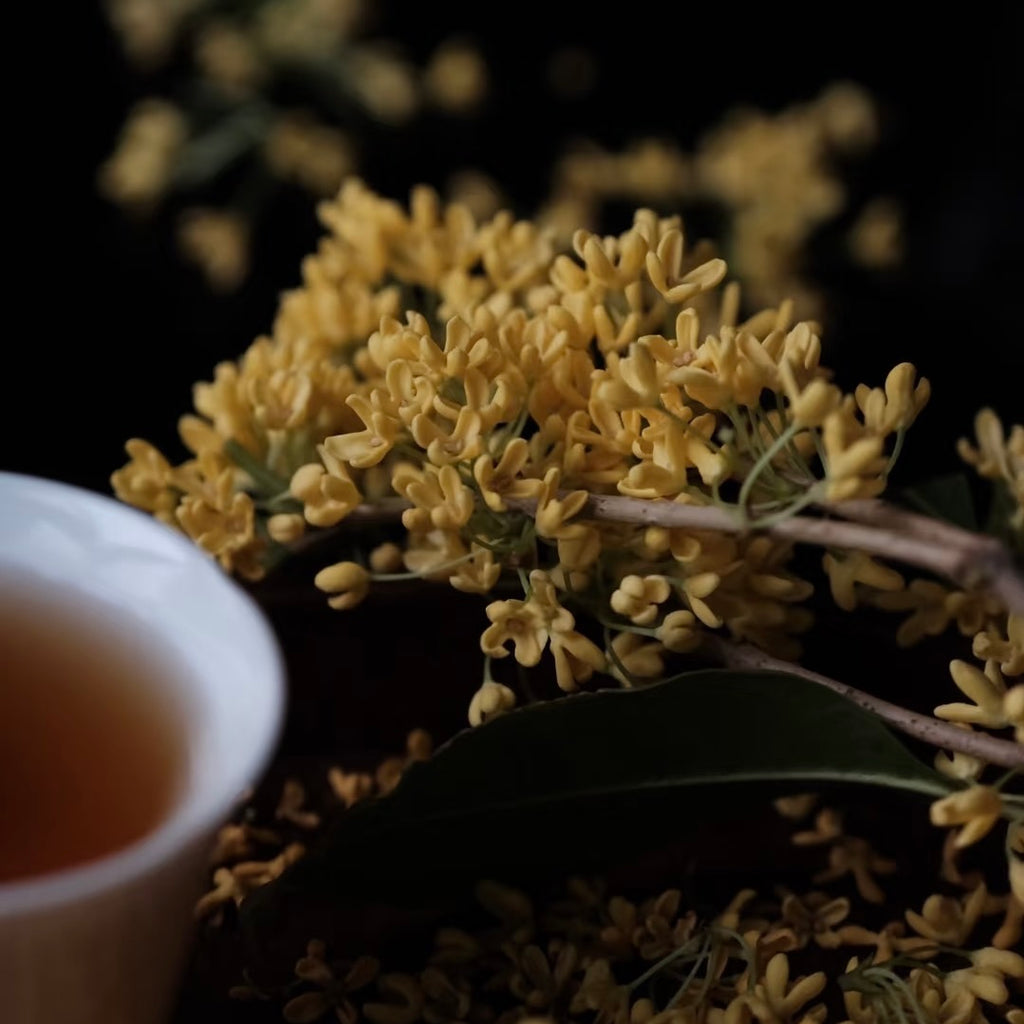 Osmanthus Premium Oolong Tea