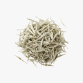 Silver Needle White Tea
