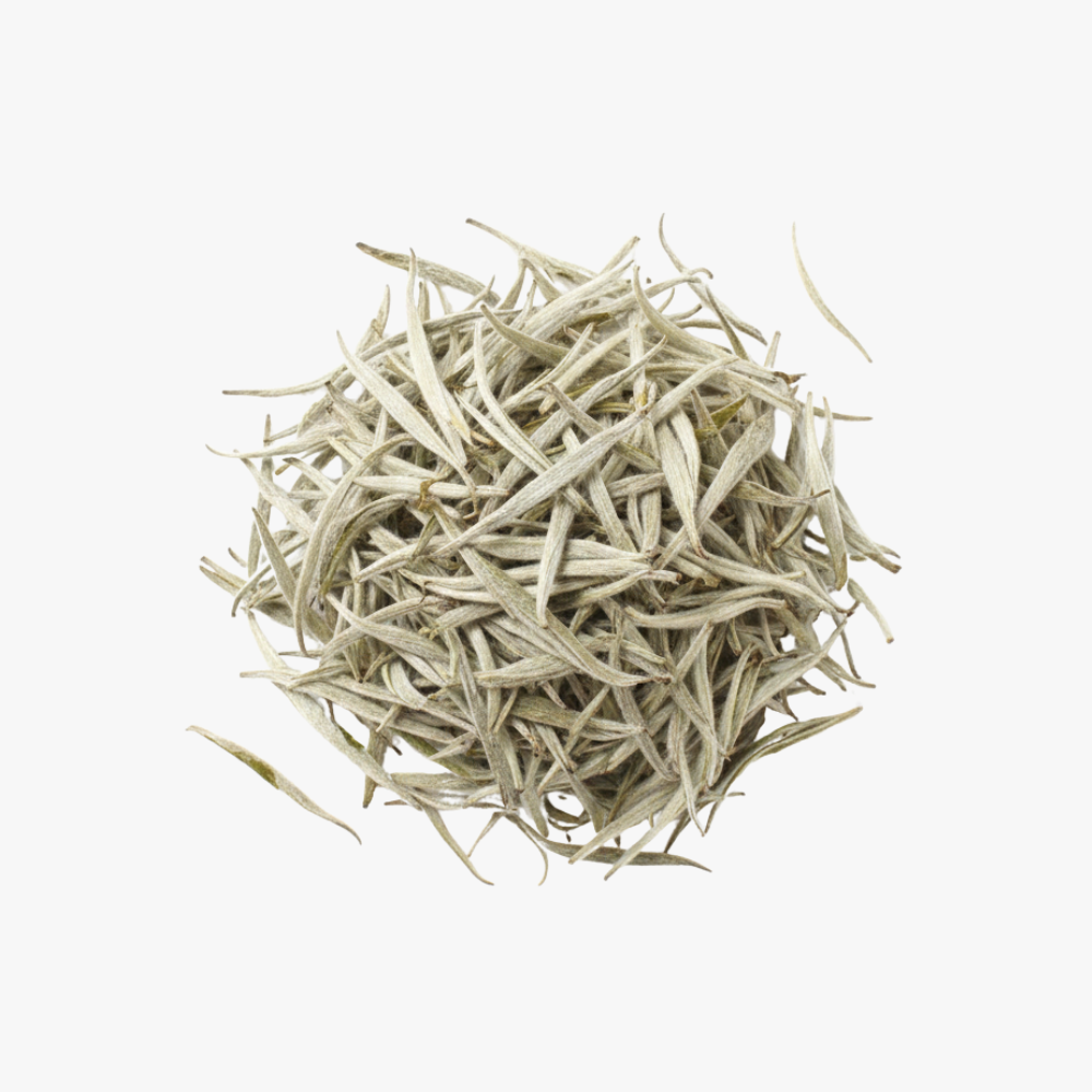 Silver Needle White Tea
