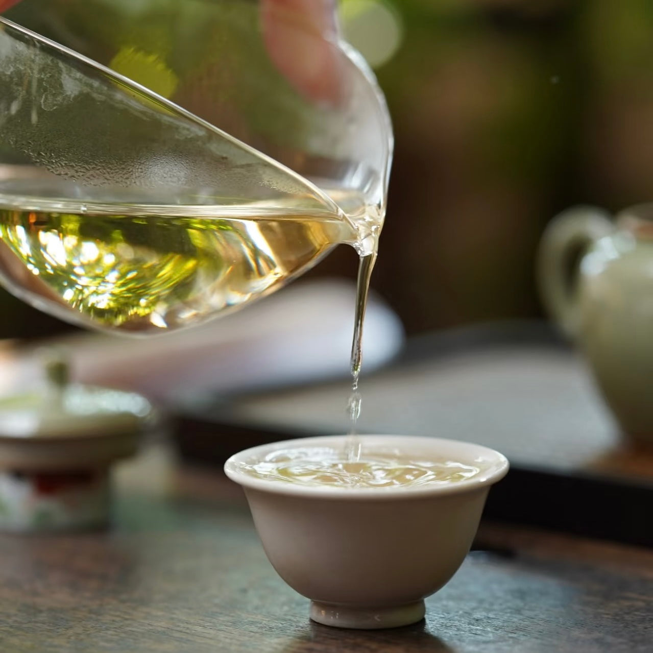 Silver Needle White Tea