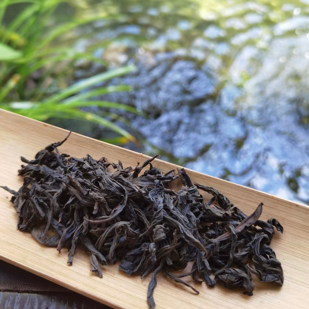 Wuyi Shuixian Rock Oolong Tea