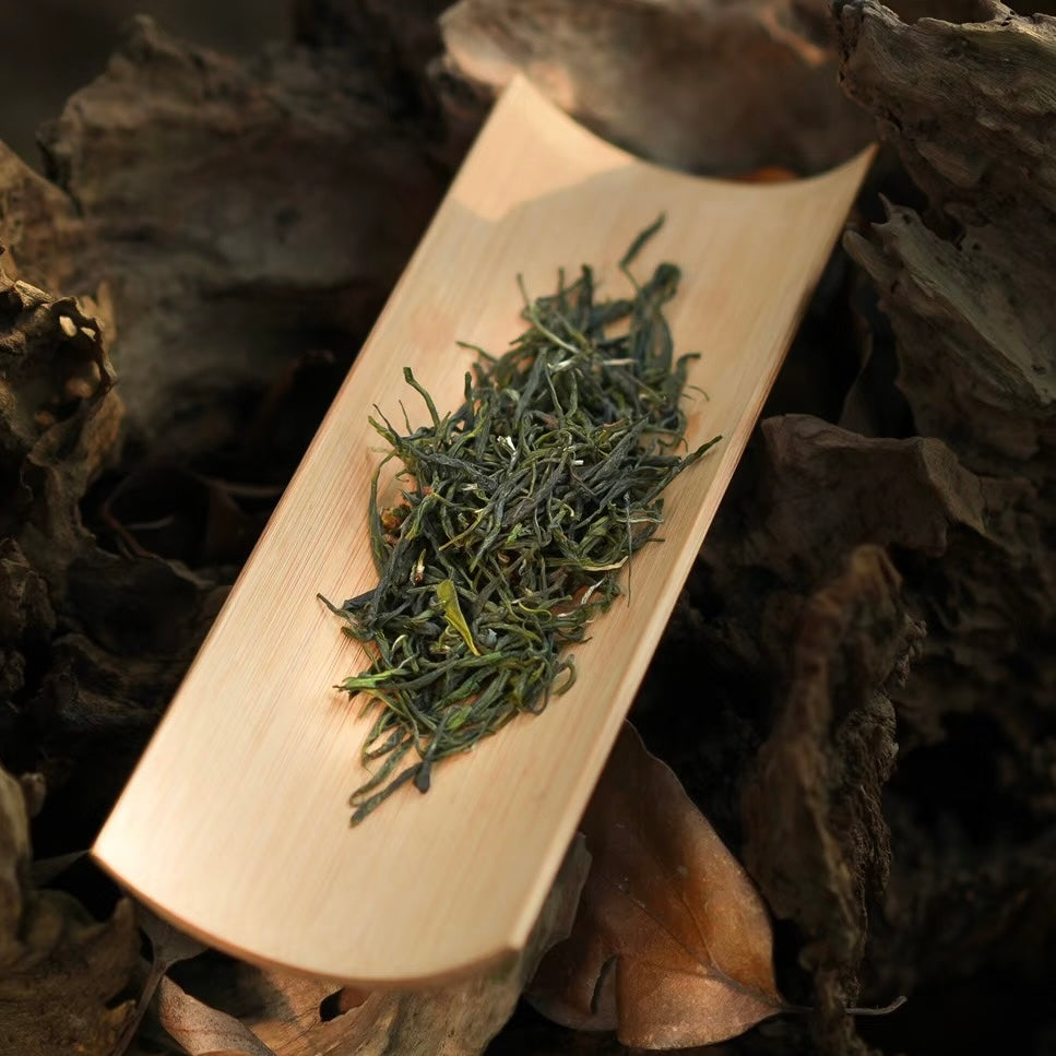 Xinyang Maojian Green Tea