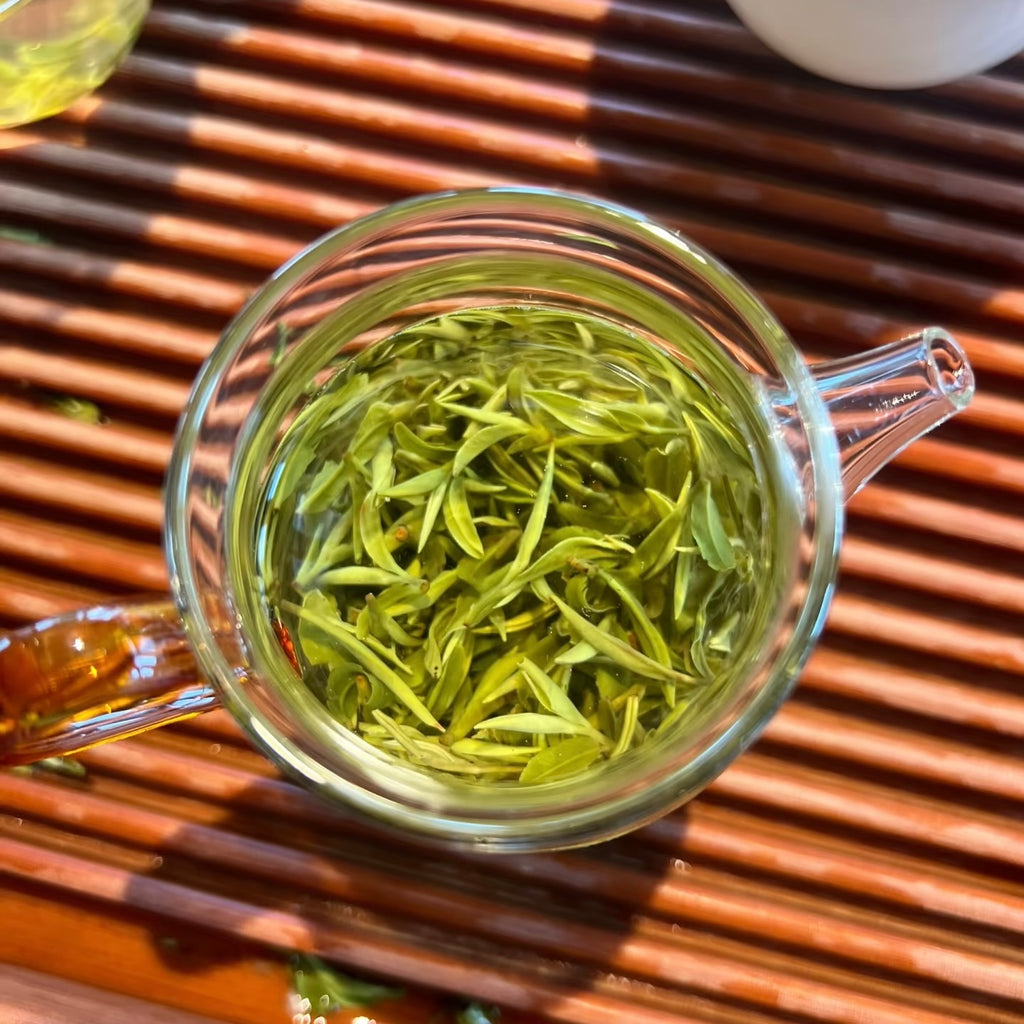 Xinyang Maojian Green Tea