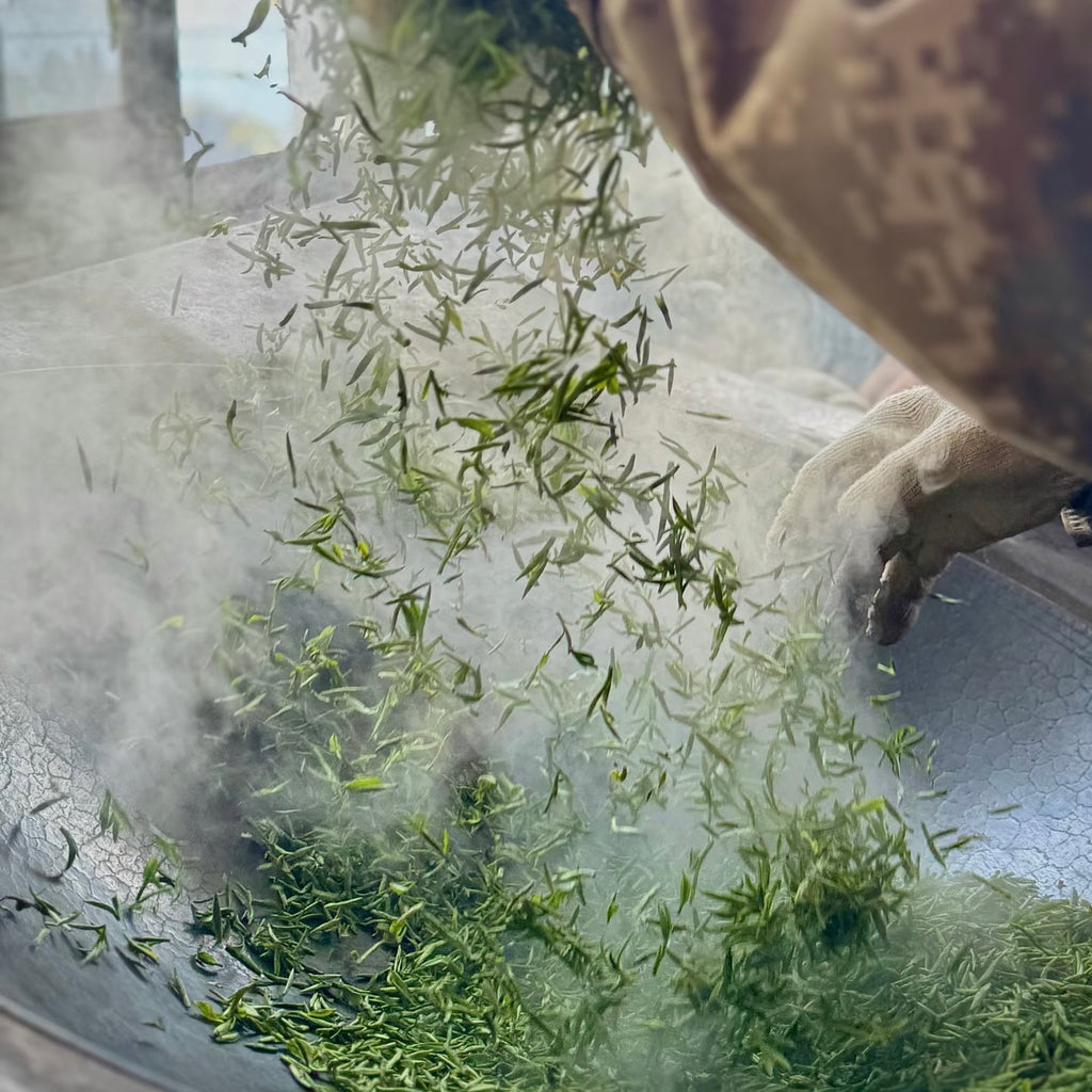 Yangxian Snow Bud Green Tea